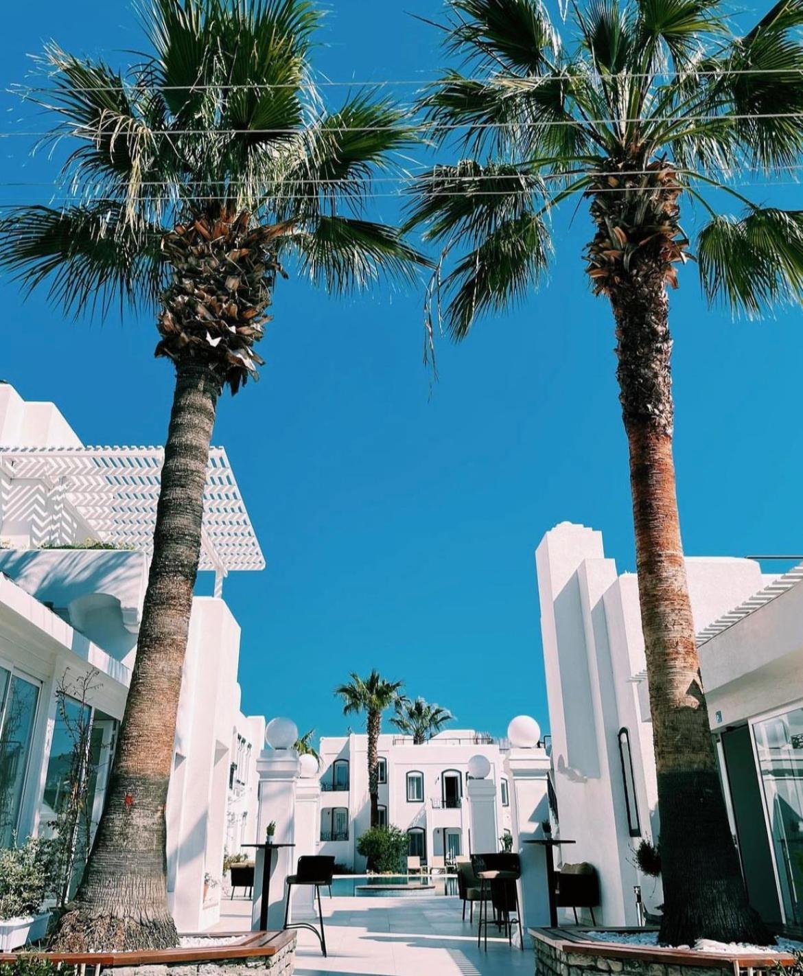 Yalinn Boutique Hotel Yalıkavak Εξωτερικό φωτογραφία